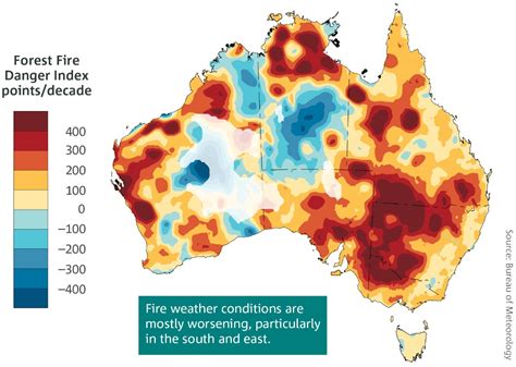 High fire frequency and the impact of the 2019–2020 .